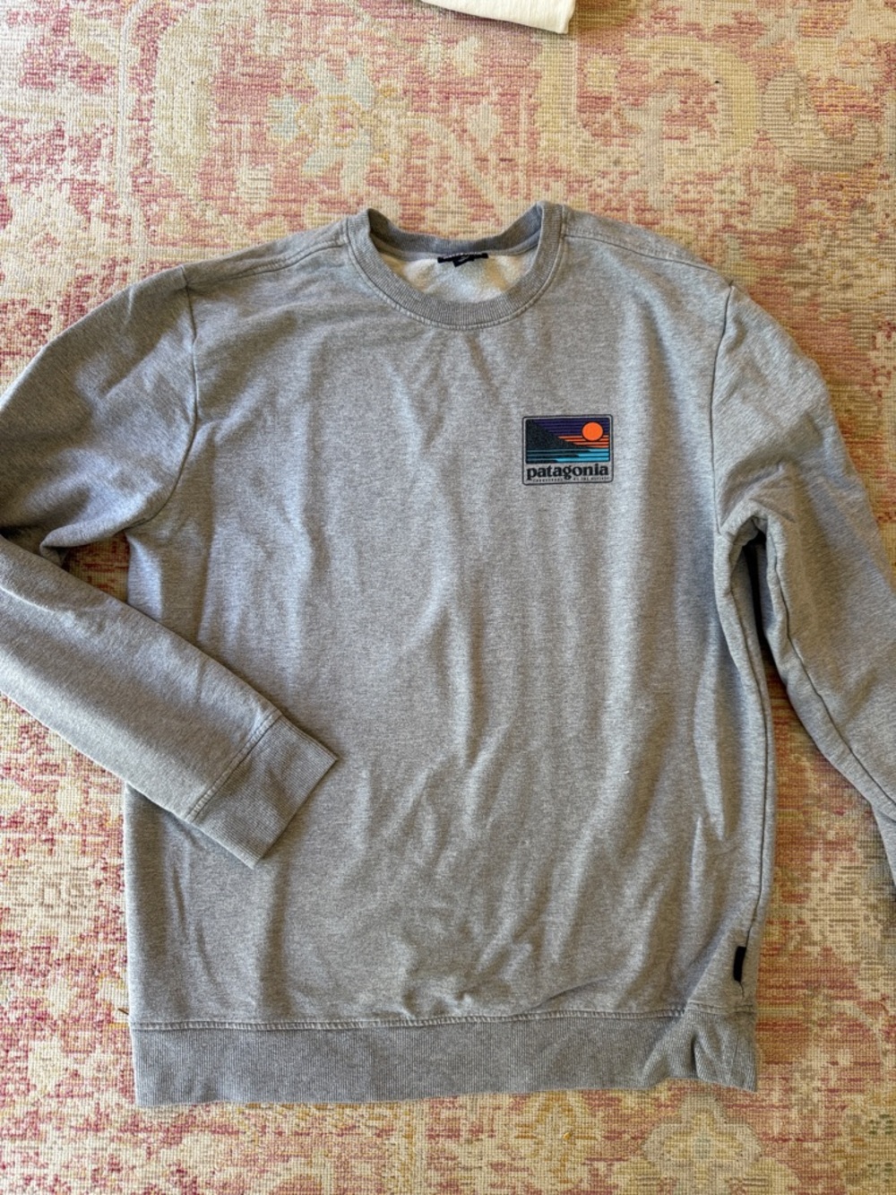 Patagonia Light Gray Crewneck Sweatshirt with Sunset Logo